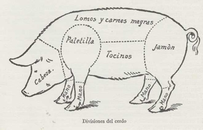 despiece cerdo