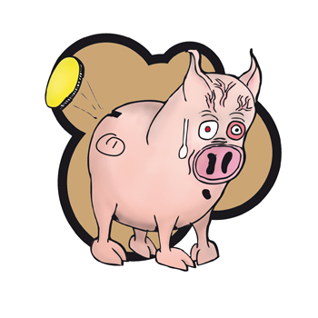 pig piggy bank project cerdito Paolo Ottavian italy